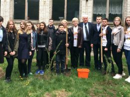 Посадка деревьев на Аллее дружбы