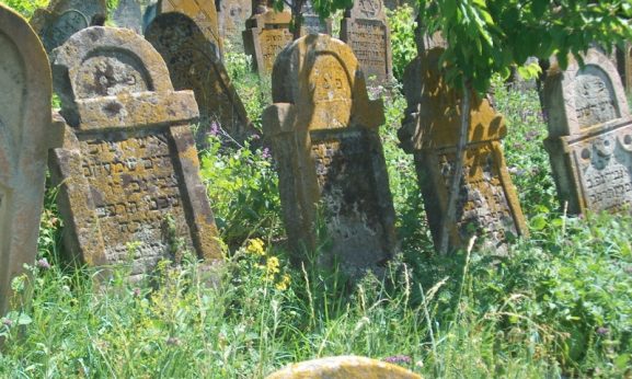 4.  Cimitirul  evreiesc din Zgurița