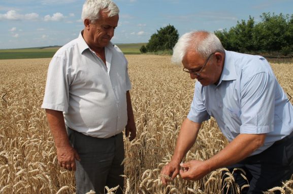 Nimic mai captivant decât discuţia a doi agricultori cu experienţă. La dreapta - Ion Nicora