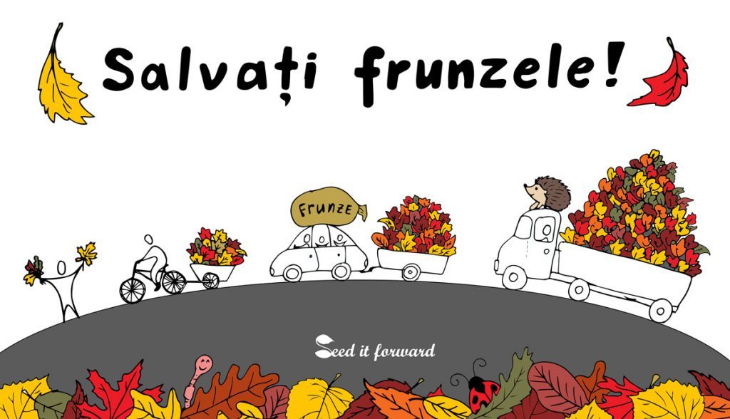 frunze