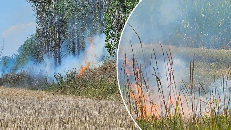 Incendiu de vegetație la Fălești. Câteva hectare, mistuite de flăcări