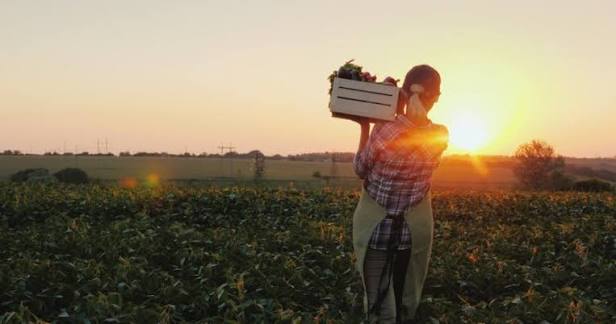 Femei in agricultura